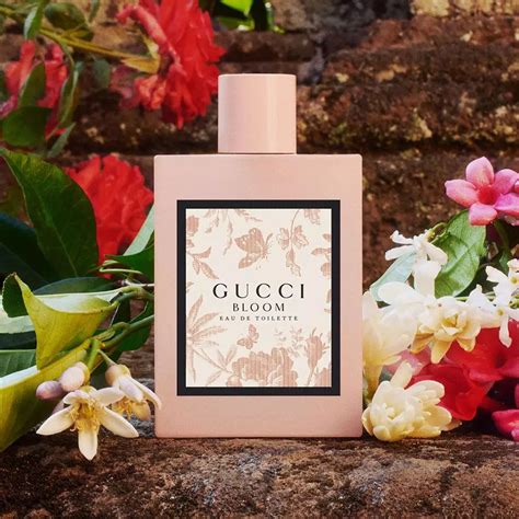 fragrance notes of gucci bloom|gucci bloom fragrantica.